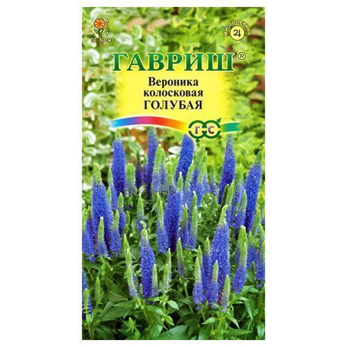 ����  �������� ������� ������, ������ �� 24 ���