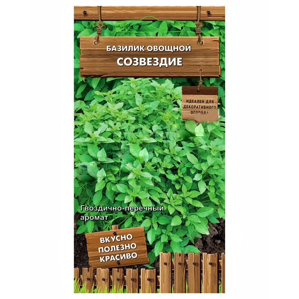 ����  ������� ������� ��������� �����, ������ �� 10 ���