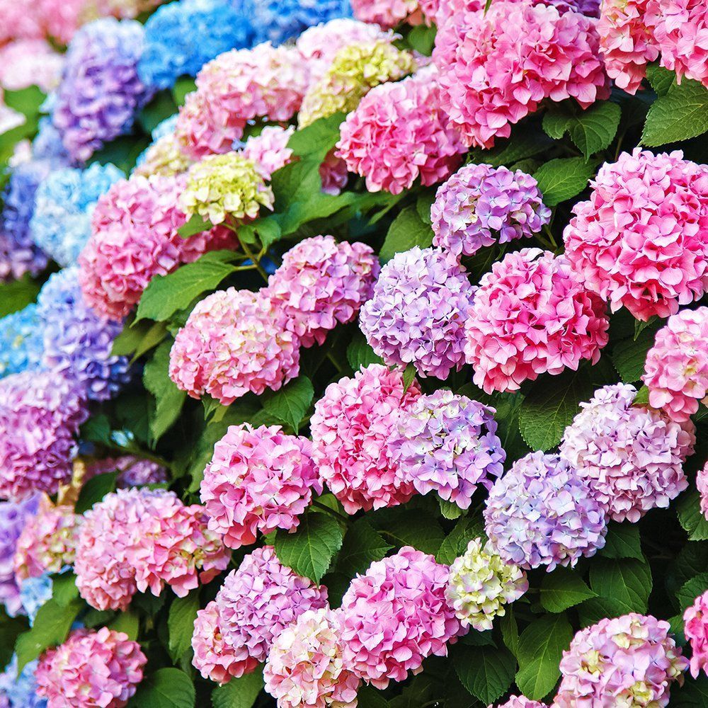 ����  ��������� ������������� �������, ������ �� 940 ���