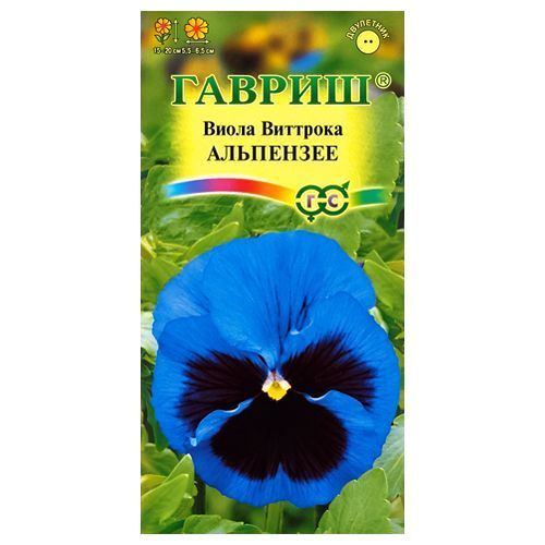 ����  ����� �������� ��������� ������, ������ �� 24 ���