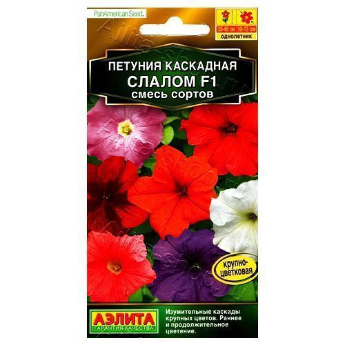 ����  ������� ��������� ������ F1, ����� ������� ������, ������ �� 36 ���