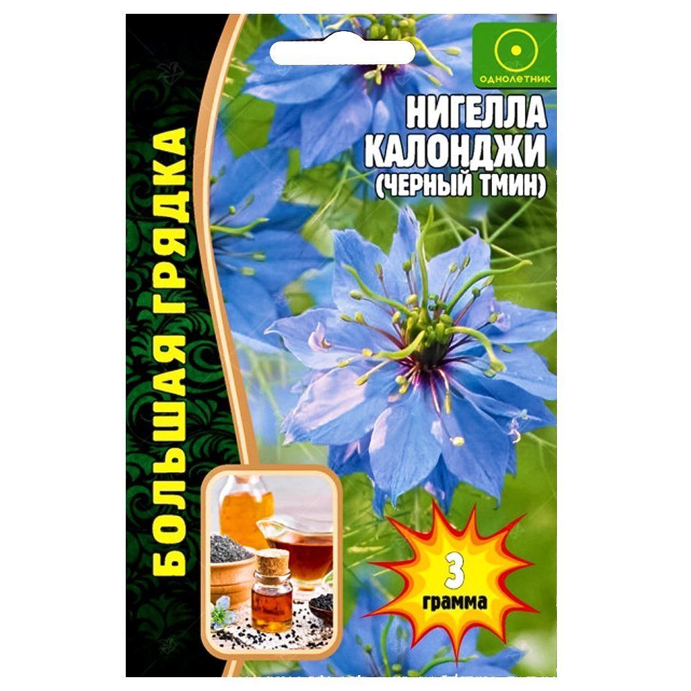 ����  ������� �������� (������ ����) ������ ������, ������ �� 49 ���