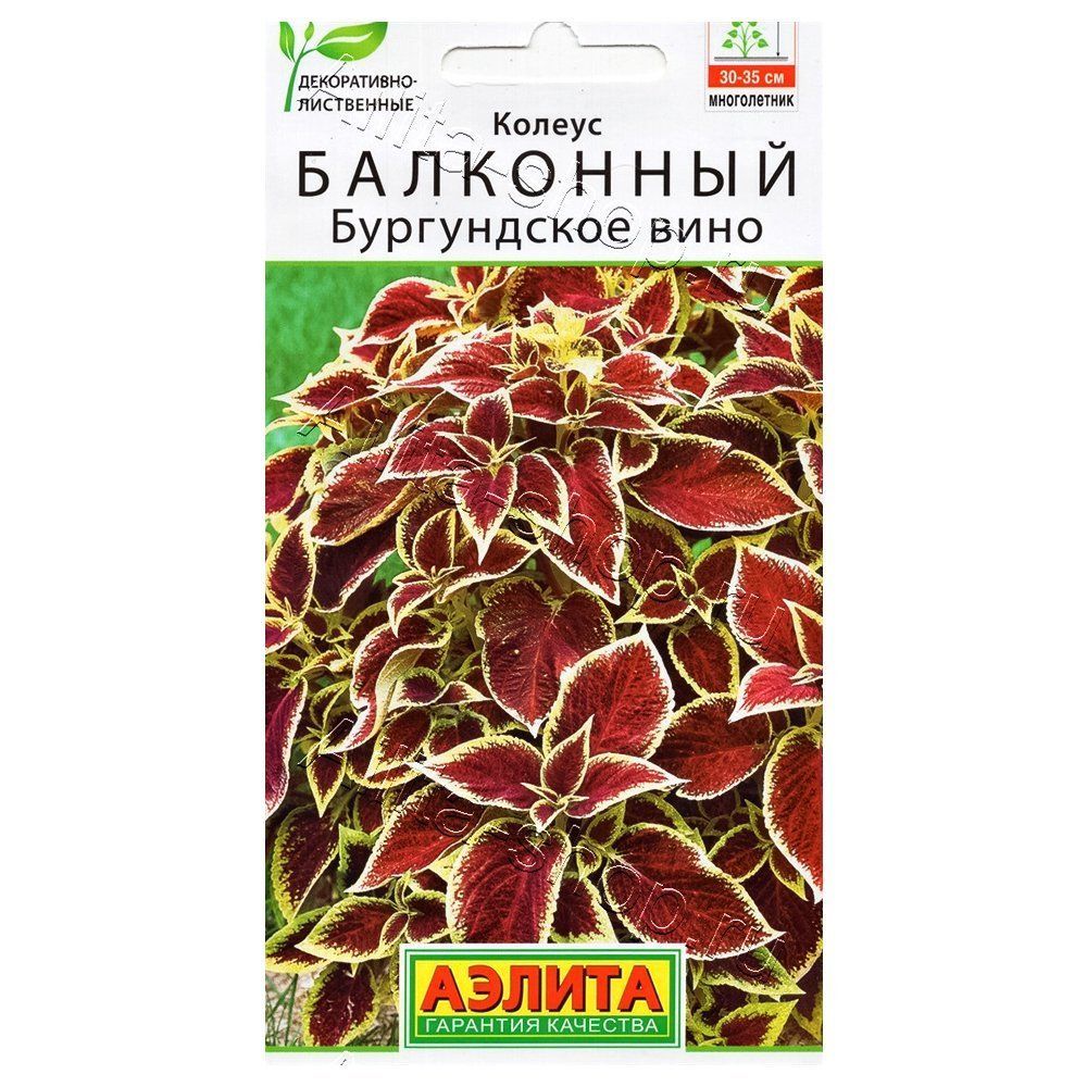 ����  ������ ��������� ����������� ���� ������, ������ �� 30 ���