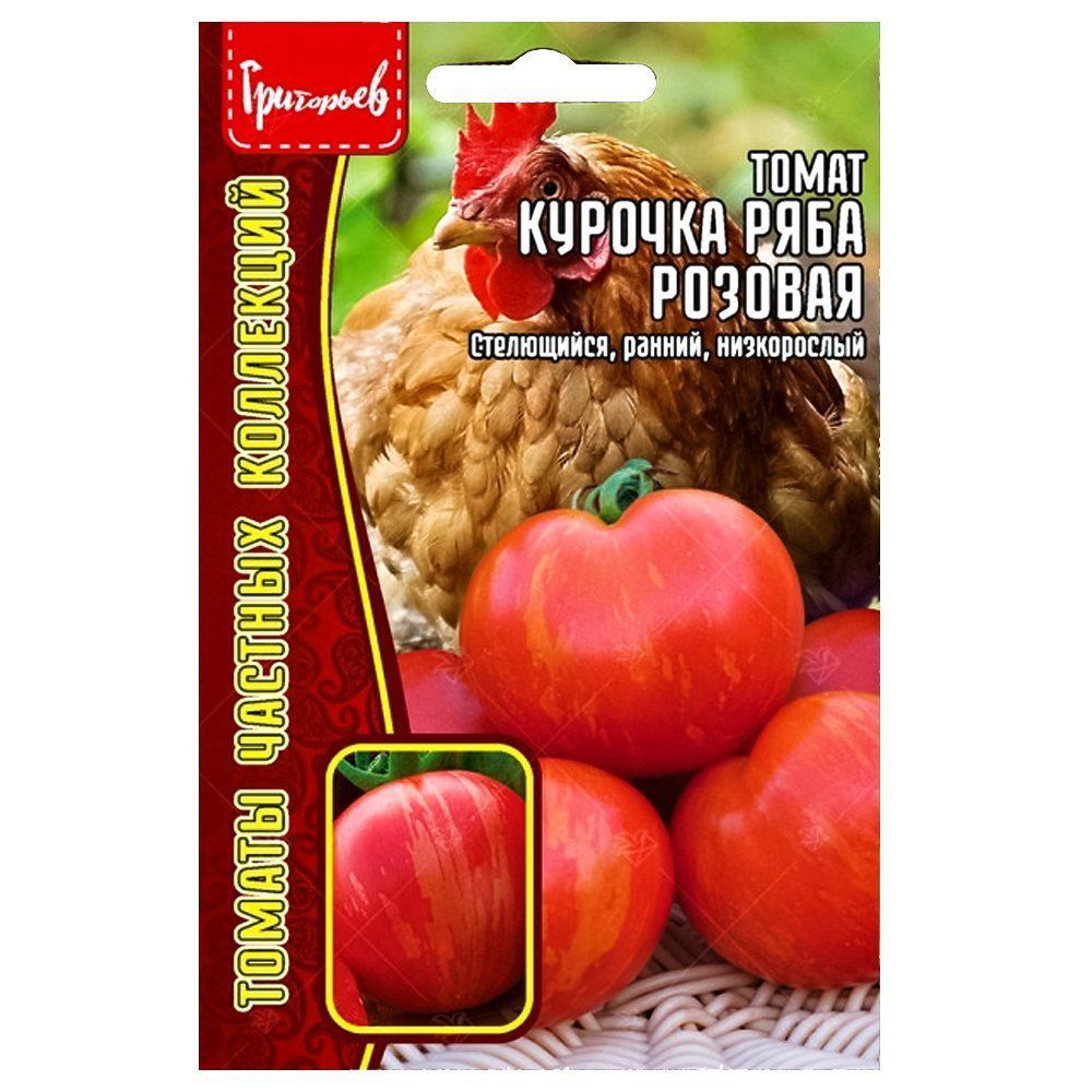 ����  ����� ������� ���� ������� ������ ������, ������ �� 84 ���