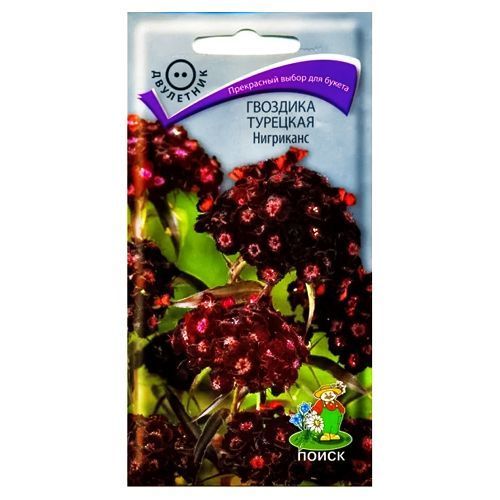 ����  �������� �������� ��������� �����, ������ �� 21 ���