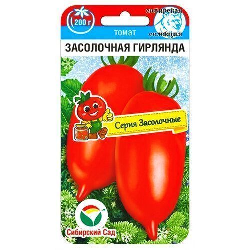 ����  ����� ���������� �������� ��������� ���, ������ �� 35 ���