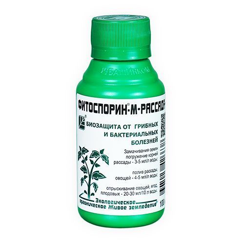 ����  ����������-�. �������, �����, ����� 100 ��, ������ �� 91 ���