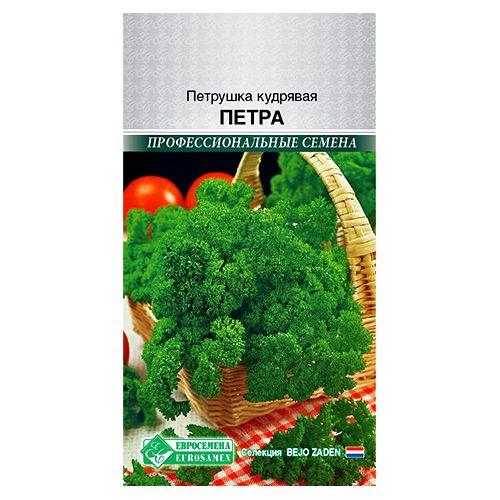 ����  �������� �������� ����� ����������, ������ �� 80 ���