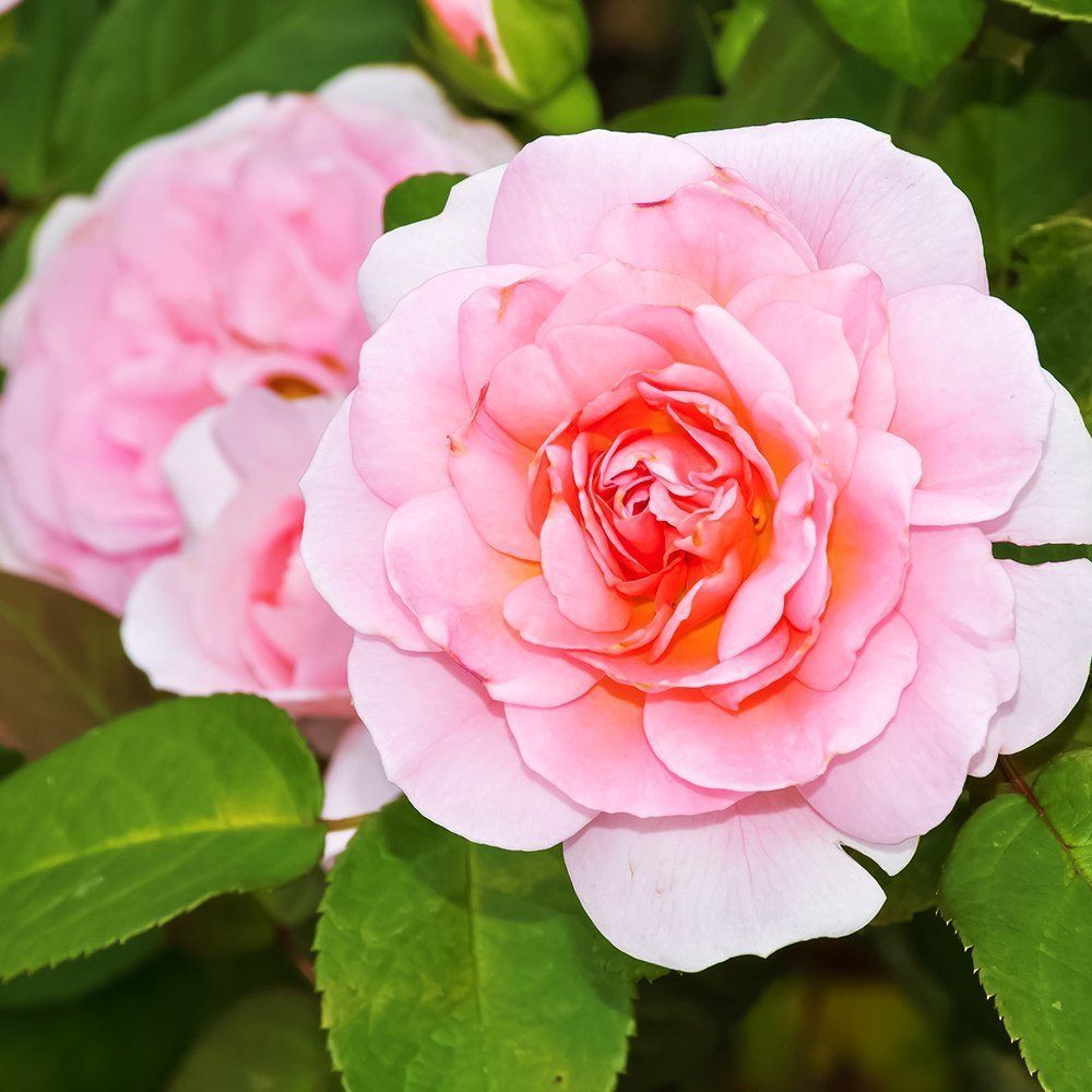 ����  ���� ��������� ������ ����, ������ �� 282 ���