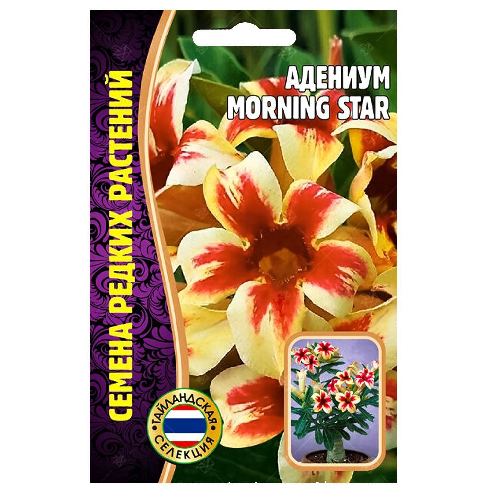    Morning Star      -     , -, 