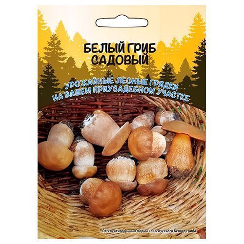 ����  ����� ���� ������� ��������� ������, ������ �� 210 ���