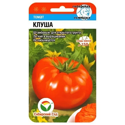 ����  ����� ����� ��������� ���, ������ �� 42 ���