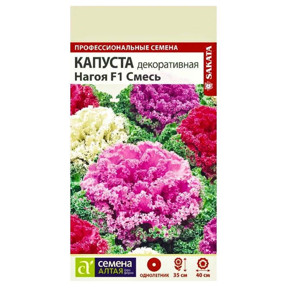 ����  ������� ������������ ����� F1, ����� ������� ������ �����, ������ �� 98 ���