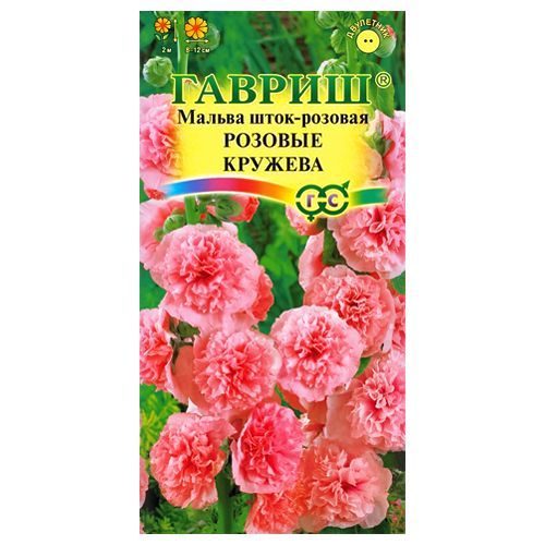 ����  ������ (����-����) ������� ������� ������, ������ �� 24 ���