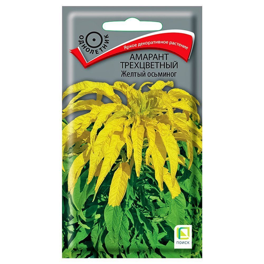 ����  ������� ������ �������� �����, ������ �� 28 ���