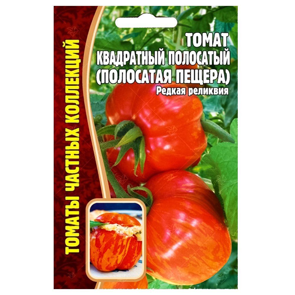 ����  ����� ���������� ��������� (��������� ������) ������ ������, ������ �� 84 ���