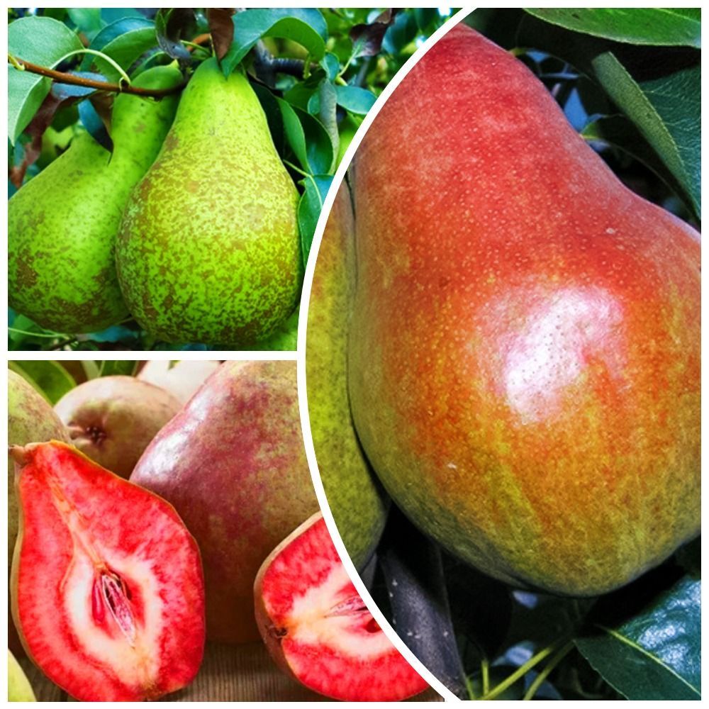 ����  �����������! �������� ���� 