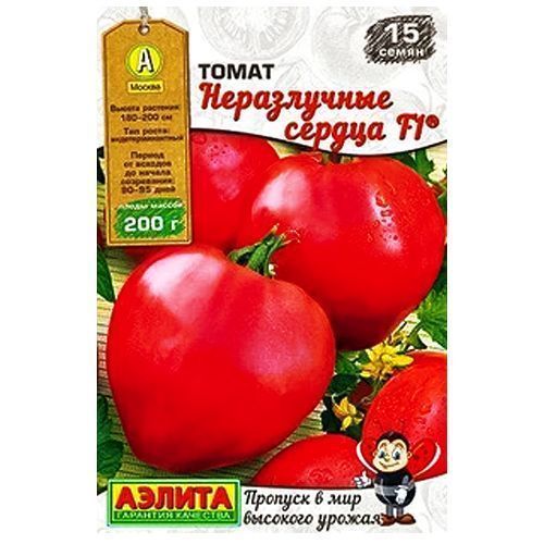 ����  ����� ����������� ������ F1 ������, ������ �� 14 ���