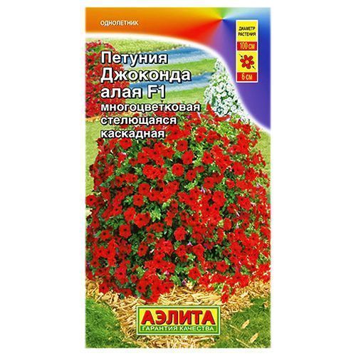 ����  ������� ��������� �������� F1 ���� ������, ������ �� 120 ���