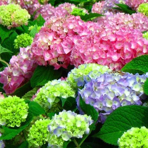 ����  ��������� ������������� ����������� ����, ������ �� 940 ���