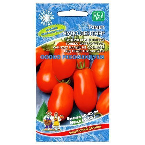 ����  ����� ���� ������ ��������� ������, ������ �� 50 ���