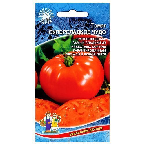 ����  ����� ������������ ���� ��������� ������, ������ �� 40 ���