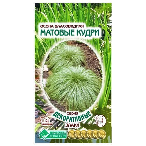 ����  ����� ����������� ������� ����� ����������, ������ �� 42 ���