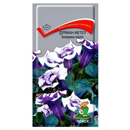 ����  ������ ����� �������� ����� �����, ������ �� 63 ���