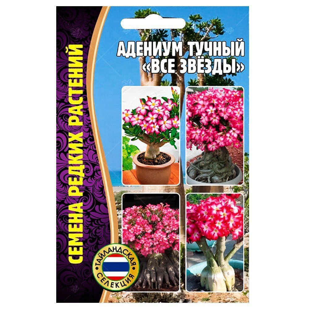 ����  ������� ��� ������ ������ ������, ������ �� 273 ���