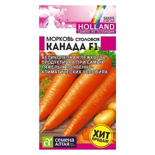 ����  ������� ������ F1 ������ �����, ������ �� 84 ���