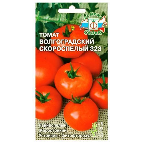 ����  ����� ������������� ����������� 323 �����, ������ �� 30 ���