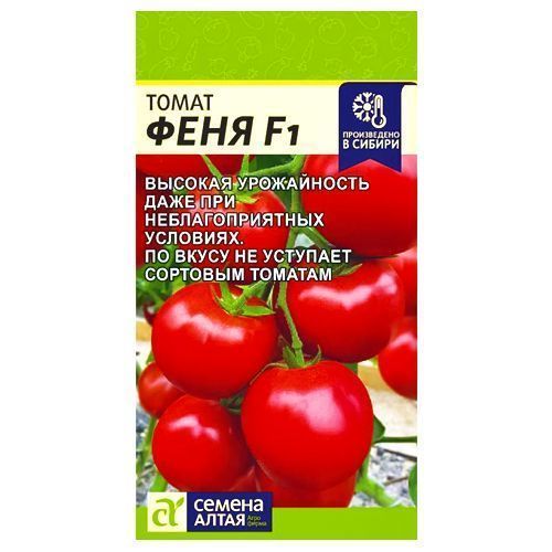 ����  ����� ���� F1 ������ �����, ������ �� 119 ���