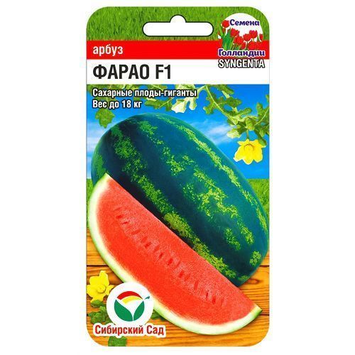 ����  ����� ����� ��������� ���, ������ �� 105 ���