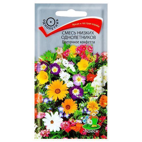 ����  ��������� ����� ��������� �������� �����, ������ �� 28 ���