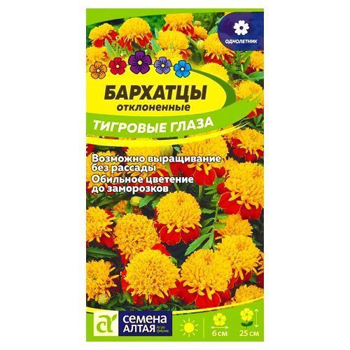 ����  �������� ����������� �������� ����� ������ �����, ������ �� 35 ���