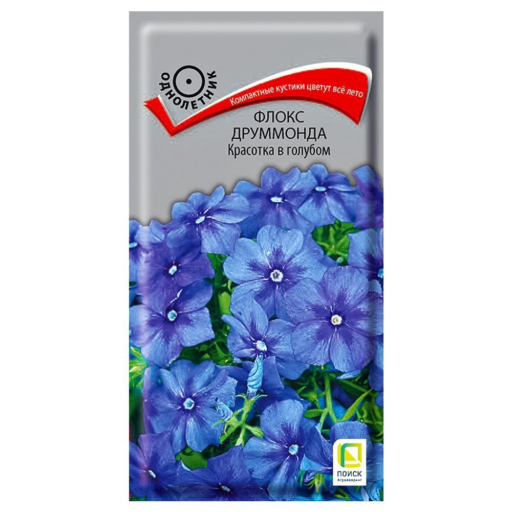 ����  ����� ��������� �������� � ������� �����, ������ �� 21 ���