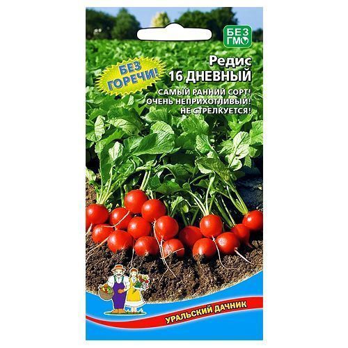 ����  ����� 16 ���� ��������� ������, ������ �� 50 ���