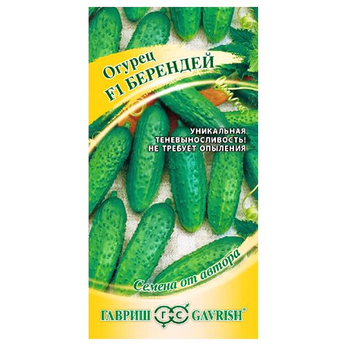 ����  ������ �������� F1 ������, ������ �� 42 ���