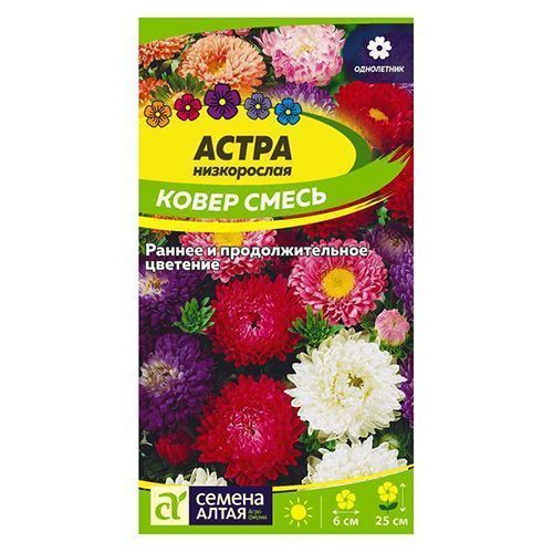 ����  ����� ����������� �����, ����� ������� ������ �����, ������ �� 35 ���