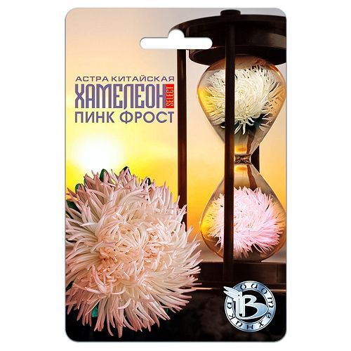 ����  ����� ��������� �������� ������ ���� ����� ����������, ������ �� 126 ���