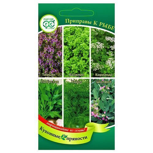 ����  �������� �������� � ����, ����� ������ ������, ������ �� 30 ���