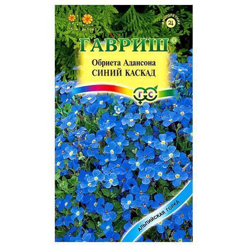 ����  ������� �������� ����� ������ ������, ������ �� 30 ���