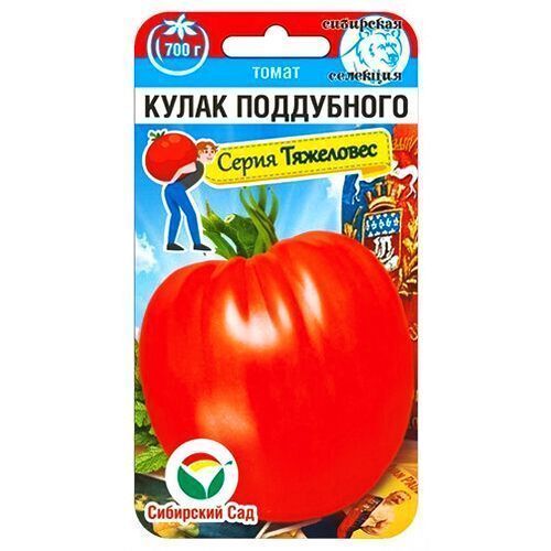 ����  ����� ����� ���������� ��������� ���, ������ �� 35 ���