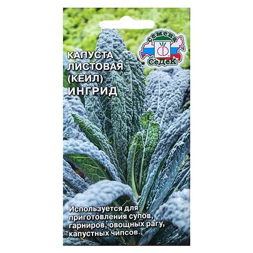 ����  ������� �������� ������ �����, ������ �� 10 ���