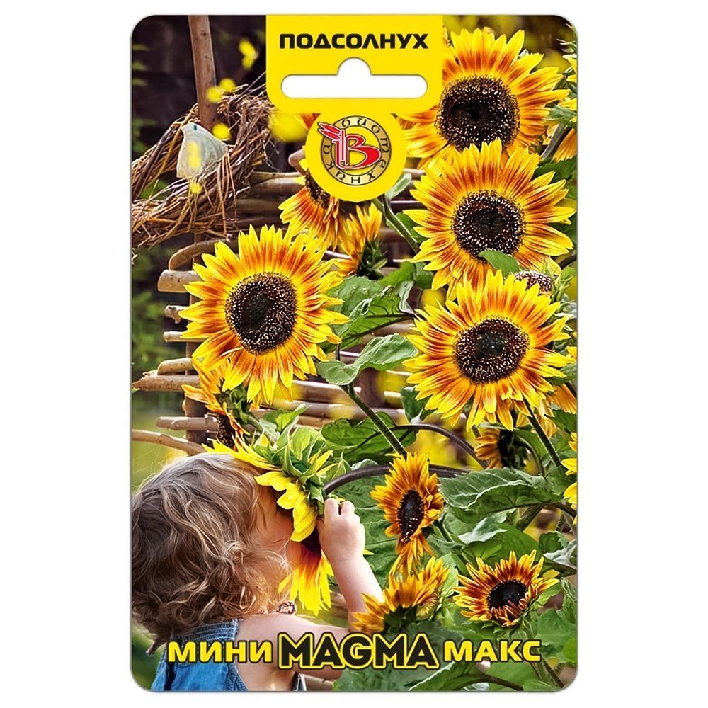 ����  ��������� ��������� ����-���� Magma ����������, ������ �� 126 ���