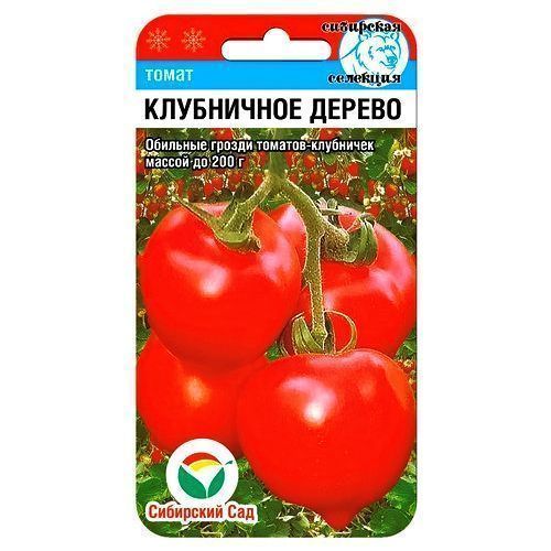 ����  ����� ���������� ������ ��������� ���, ������ �� 28 ���