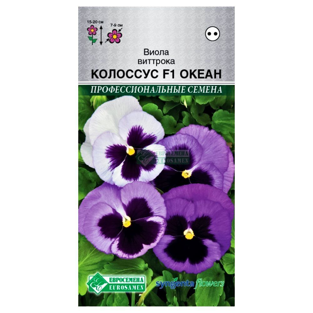 ����  ����� �������� �������� ����� F1, ����� ������� ����������, ������ �� 63 ���