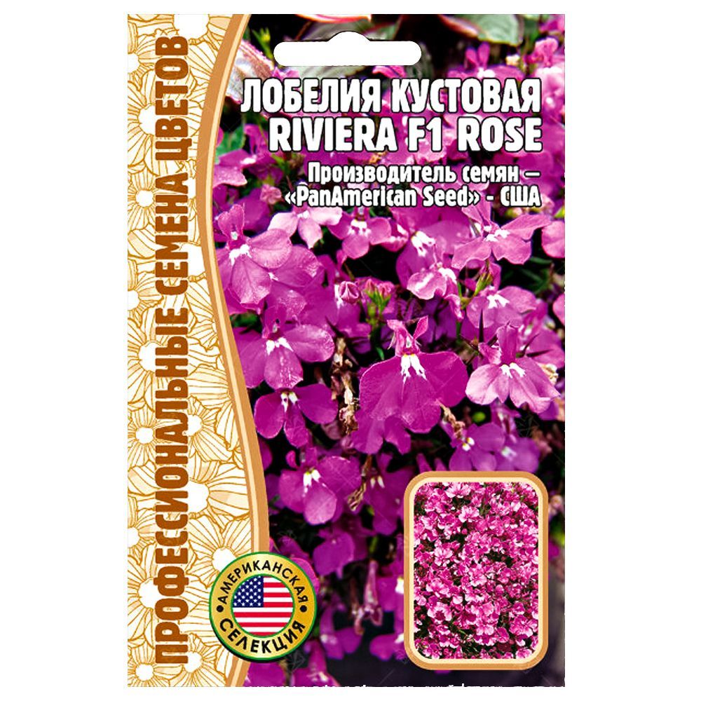     Riviera Rose F1  ,   49 