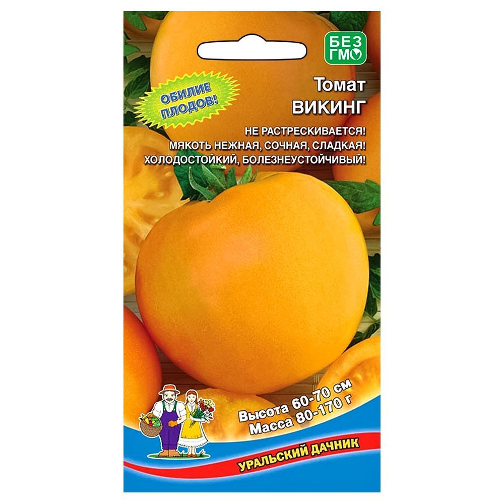 ����  ����� ������ ��������� ������, ������ �� 28 ���