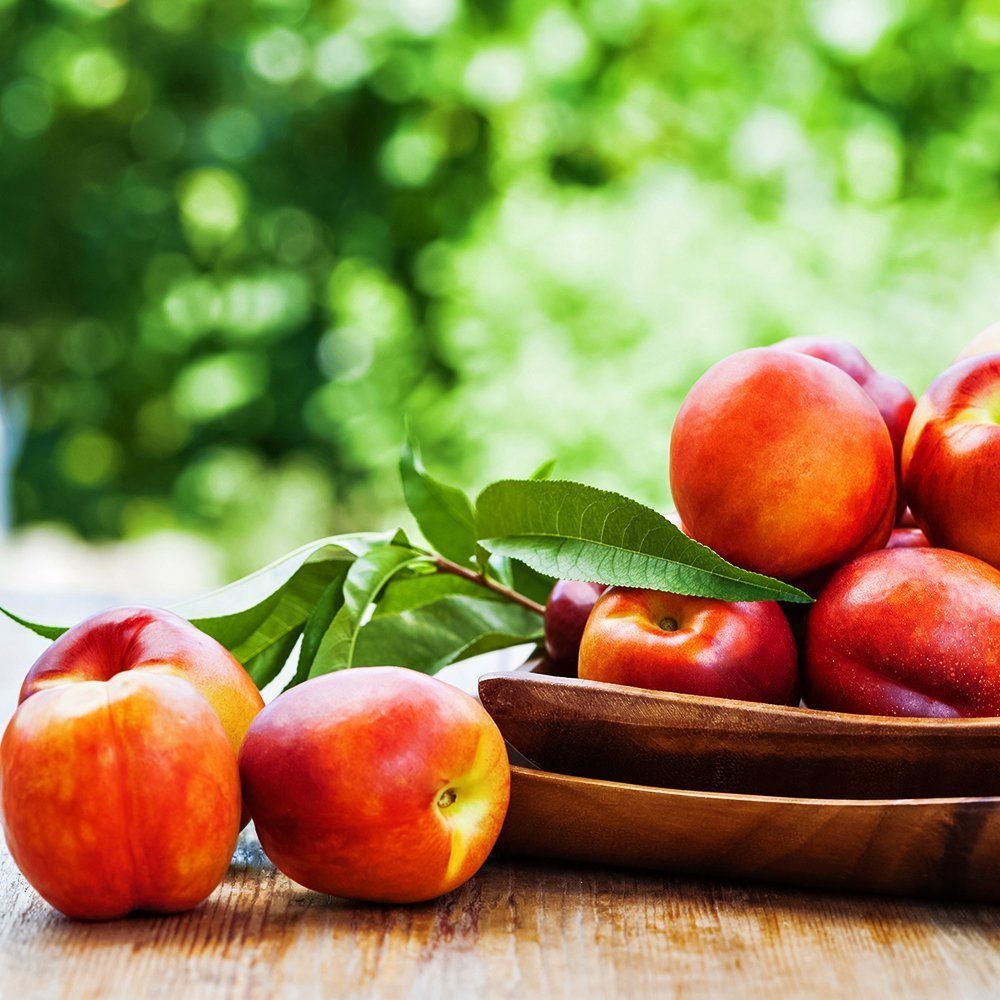 ����  �������� ������ ����, ������ �� 603 ���